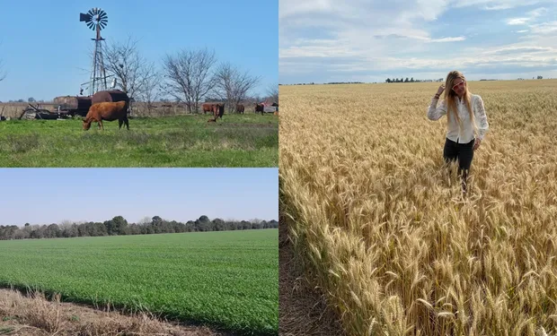 "Las tierras productivas ofrecen estabilidad y rentabilidad sostenida", señala Victoria Capomassi de VC Real Estate